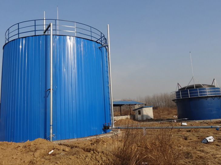 六安淮之源沼气工程